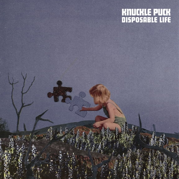 Knuckle Puck - Disposable Life (Red Apple) - Music & Performance - Vinyl
