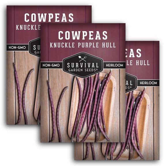Knuckle Purple Hull Pea Seeds - Non-GMO Heirloom Full Sun Annual Vegetable - 3 Packs