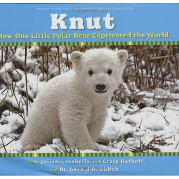 Pre-Owned Knut: How One Little Polar Bear Captivated the World (Hardcover) 0545047161 9780545047166