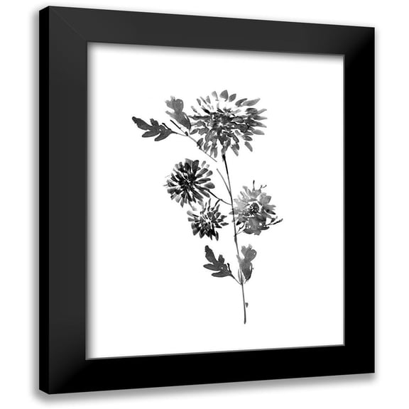 Knutsen, Conrad 12x14 Black Modern Framed Museum Art Print Titled - Neutral Washed Botanical II