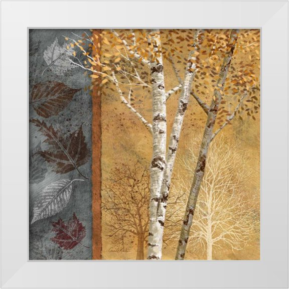 Knutsen, Conrad 15x15 White Modern Wood Framed Museum Art Print Titled - Birch Trees in Autumn I
