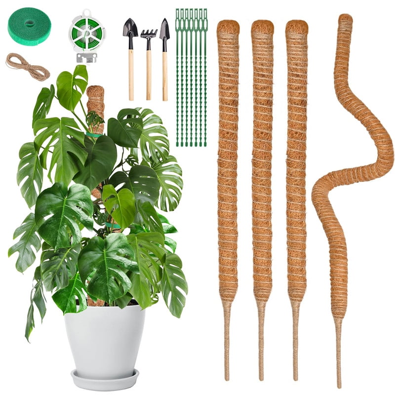 KoRwelex 4 Pack 32