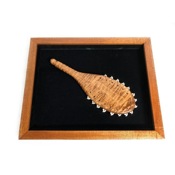 Koa Shadow box w/ Lei O Mano 22"X 18" - Black Velvet - Made In Hawaii | #koasb02