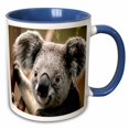 thumbnail image 1 of 3drose, Koala Bear Closeup, 15oz Two-tone Blue Mug, 1 of 6