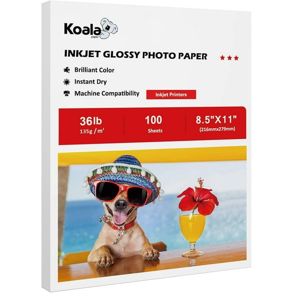 Koala Glossy Thin Inkjet Printer Paper for DIY Chip Bag and Print Brochure Flyer 8.5x11 Inches Glossy 100 Sheets 36LB