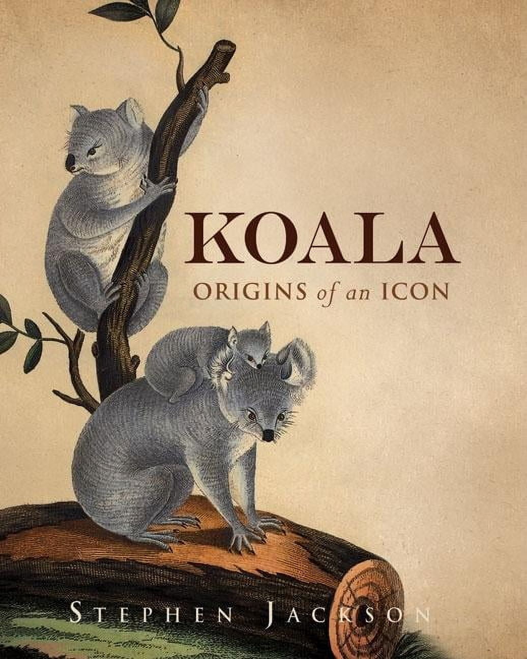 Koala : Origins of an Icon (Hardcover) - Walmart.com