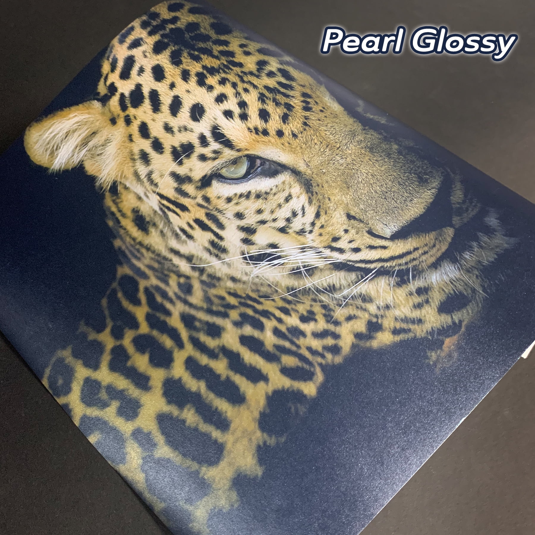 Koala Glossy Thin Inkjet Paper for DIY Chip Bag 8.5x11 Inches 100 Sheets  and Pearl Glossy Thin Photo Paper 8.5x11 Inches 40 Sheets 30lbs