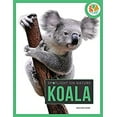thumbnail image 1 of Pre-Owned Koala (Paperback) 1628328738 9781628328738, 1 of 1