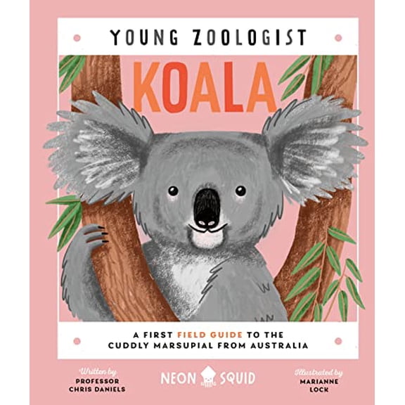 Pre-Owned Koala (Young Zoologist): A First Field Guide to the Cuddly Marsupial from Australia (Hardcover) 1684492831 9781684492831