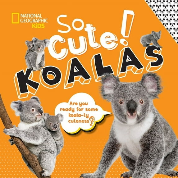 Cool/Cute: So Cute! Koalas (Hardcover)