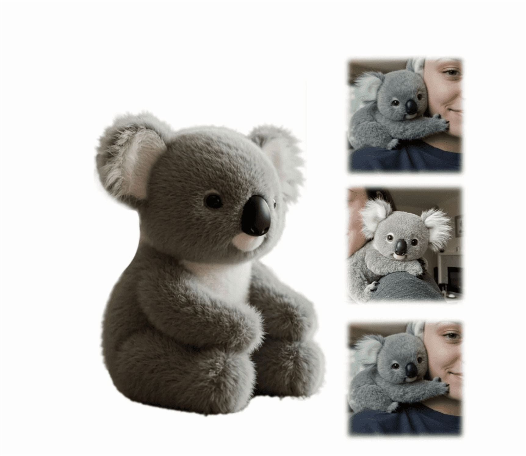 Stock ilustrace Roztomilá Kreslená Koala Líné Koaly S Eukalyptem Malá Stock ilustrace Roztomilá Kreslená Koala Líné Koaly S Eukalyptem Malá