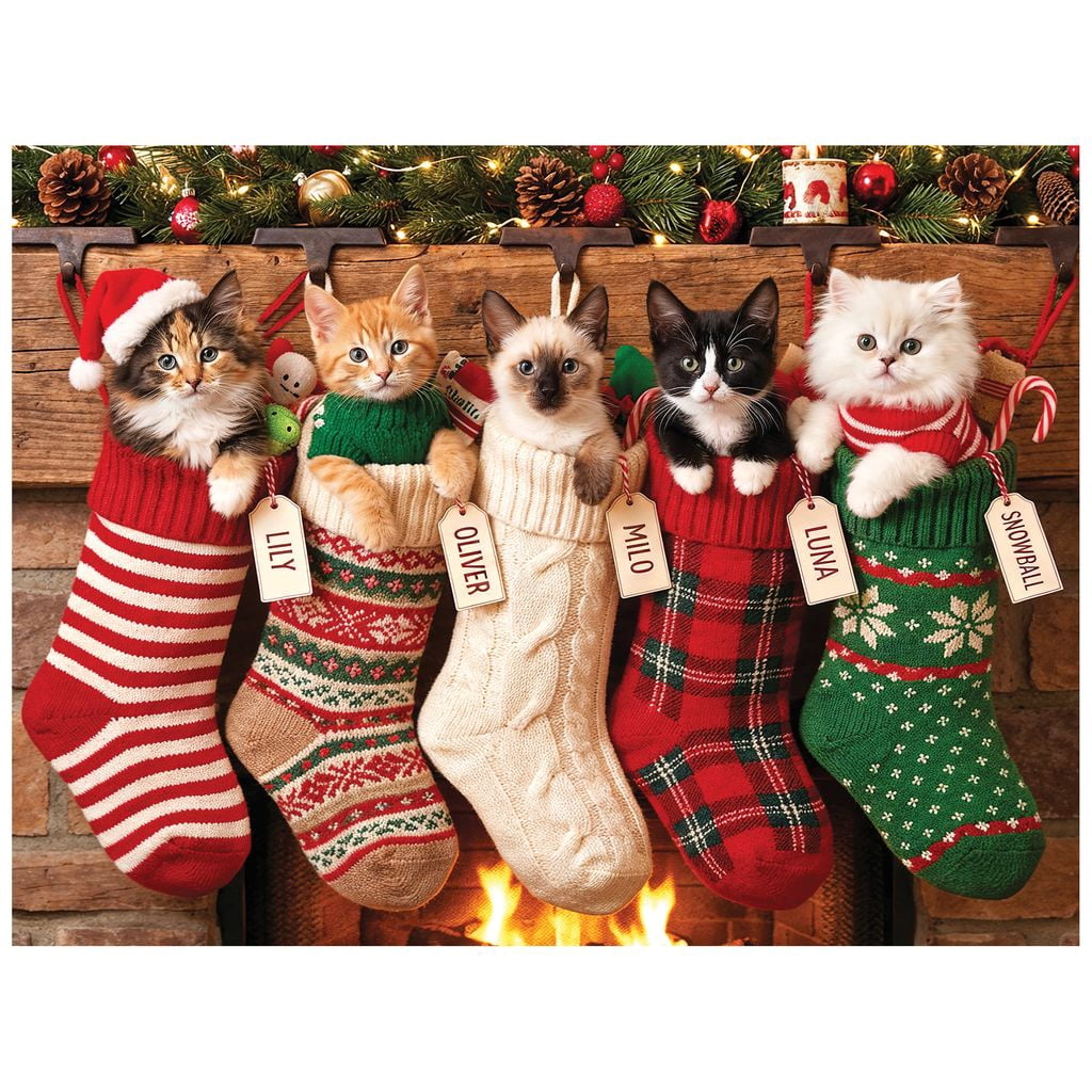 Kodak 350pc Kittens in Stockings
