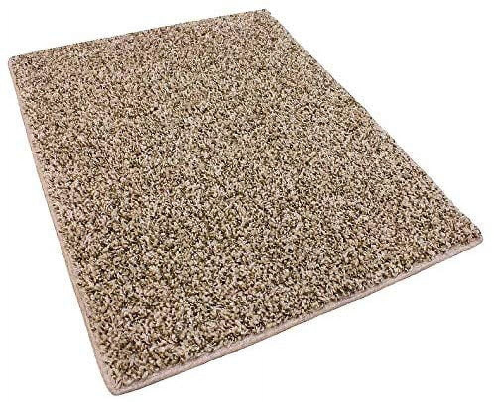 Koeckritz Rugs 2'6"x8' Stain Resistant Area Rugs for Indoor, 25oz