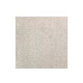 thumbnail image 1 of Koeckritz Rugs Soft & Cozy Warm Taupe Plush Frieze Indoor Area Rug 11' x 11', 1 of 7