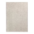 thumbnail image 1 of Koeckritz Rugs Soft & Cozy Warm Taupe Plush Frieze Indoor Area Rug 2' x 3', 1 of 7
