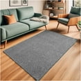 thumbnail image 1 of Koeckritz Rugs Soft & Cozy Pewter Grey Indoor Area Rug 4' Round for Living Room or Bedroom, 1 of 7