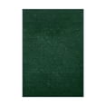 thumbnail image 1 of Koeckritz Rugs Valdosta Indoor/Outdoor Heather Green Area Rug, 4' x 6', 1 of 8