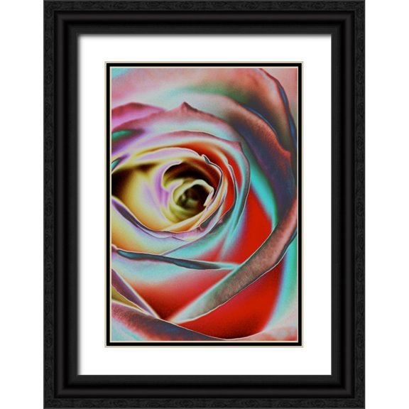 Koenig, Andre 18x24 Black Ornate Wood Framed with Double Matting Museum Art Print Titled - Rose
