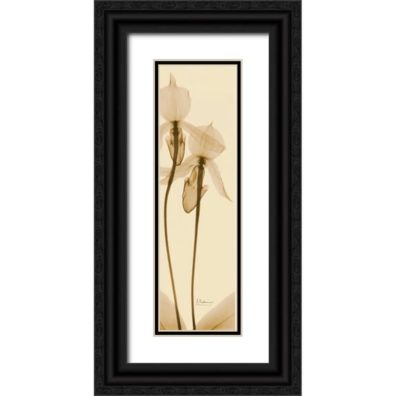 Koetsier, Albert 10x24 Black Ornate Wood Framed with Double Matting Museum Art Print Titled - Orchid Brown on Beige 2