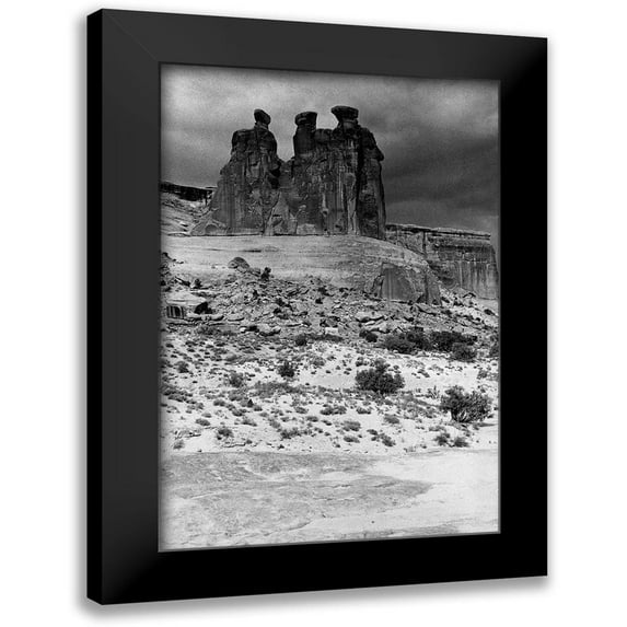 Koetsier, Albert 11x14 Black Modern Framed Museum Art Print Titled - Majestic Beings 2