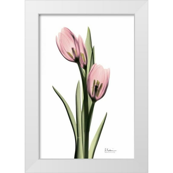 Koetsier, Albert 11x14 White Modern Wood Framed Museum Art Print Titled - Annie Tulip