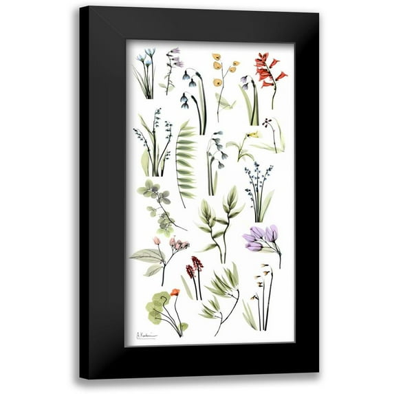 Koetsier, Albert 11x18 Black Modern Framed Museum Art Print Titled - Zen Garden 2