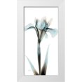 thumbnail image 1 of Koetsier, Albert 11x18 White Modern Wood Framed Museum Art Print Titled - Sea Infused Iris 1, 1 of 4