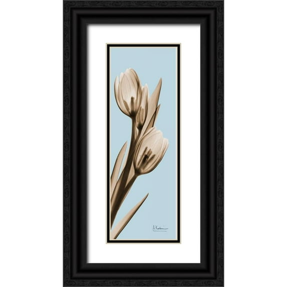 Koetsier, Albert 11x24 Black Ornate Wood Framed with Double Matting Museum Art Print Titled - Tulip