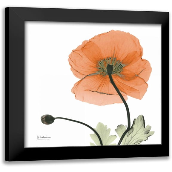 Koetsier, Albert 12x12 Black Modern Framed Museum Art Print Titled - A Gift of Flowers in Orange