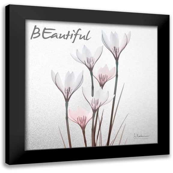 Koetsier, Albert 12x12 Black Modern Framed Museum Art Print Titled - Beautiful White Rain Lily 1