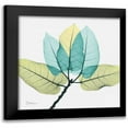 thumbnail image 1 of Koetsier, Albert 12x12 Black Modern Framed Museum Art Print Titled - Ficus Burkey, 1 of 5