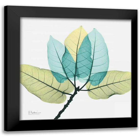 Koetsier, Albert 12x12 Black Modern Framed Museum Art Print Titled - Ficus Burkey