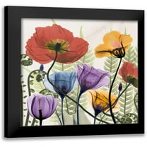 Koetsier, Albert 12x12 Black Modern Framed Museum Art Print Titled - Flowers And Ferns