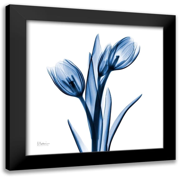 Koetsier, Albert 12x12 Black Modern Framed Museum Art Print Titled - Indigo Loved Tulips