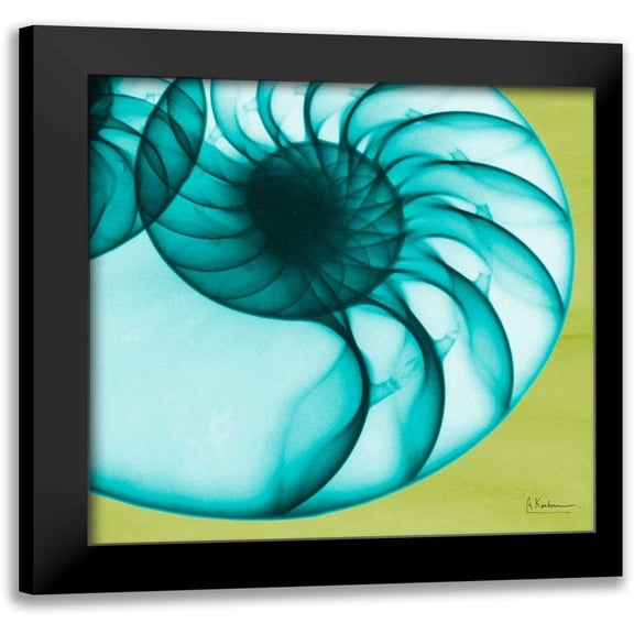 Koetsier, Albert 12x12 Black Modern Framed Museum Art Print Titled - Neon Nautilus
