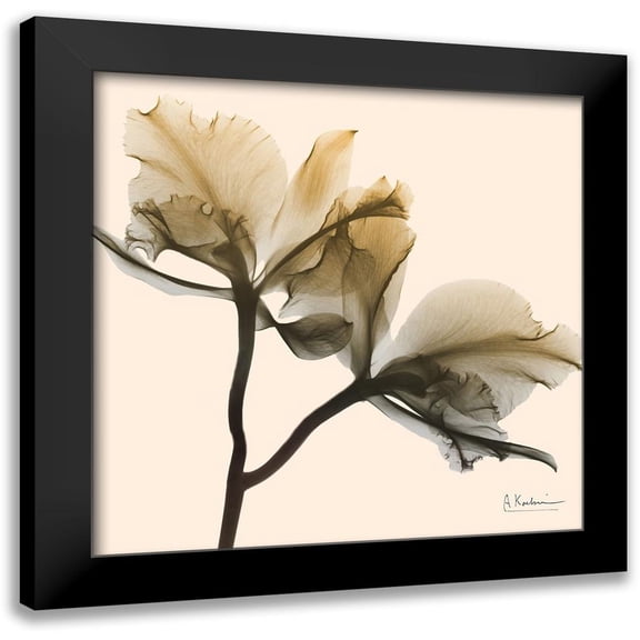 Koetsier, Albert 12x12 Black Modern Framed Museum Art Print Titled - Neutral Twins 1