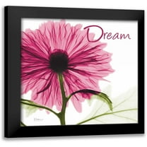 Koetsier, Albert 12x12 Black Modern Framed Museum Art Print Titled - Pink Chrysanthemum Dream