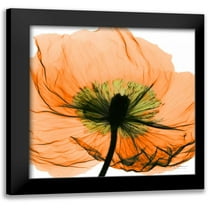 Koetsier, Albert 12x12 Black Modern Framed Museum Art Print Titled - Poppy Orange