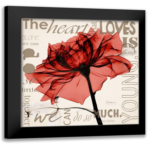 Koetsier, Albert 12x12 Black Modern Framed Museum Art Print Titled - Red Rose Love
