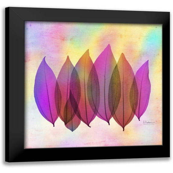 Koetsier, Albert 12x12 Black Modern Framed Museum Art Print Titled - Retroluxed Coculus 2