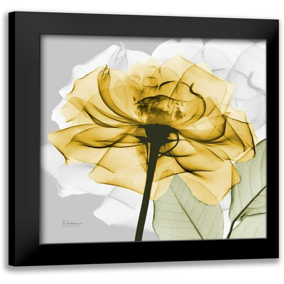 Koetsier, Albert 12x12 Black Modern Framed Museum Art Print Titled - Rose in Gold 4