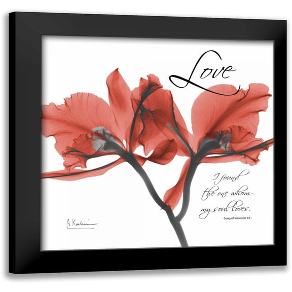 Koetsier, Albert 12x12 Black Modern Framed Museum Art Print Titled - Royal Red Orchid - Love Again