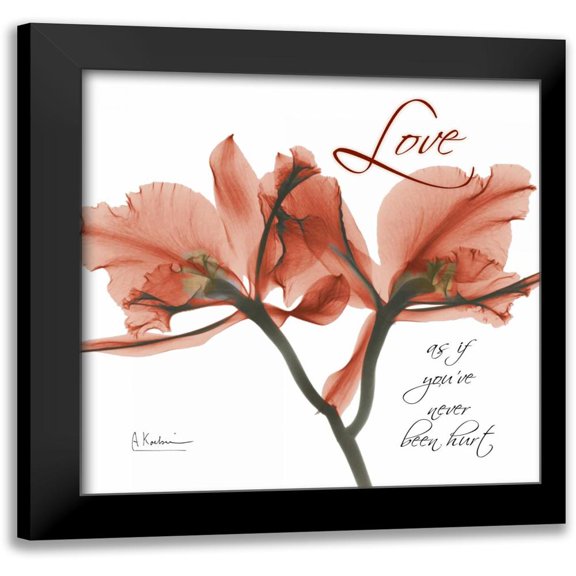 Koetsier, Albert 12x12 Black Modern Framed Museum Art Print Titled - Royal Red Orchid - Love