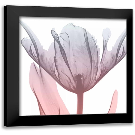 Koetsier, Albert 12x12 Black Modern Framed Museum Art Print Titled - Serene Sunset 2