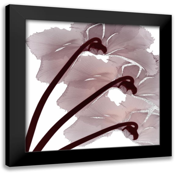 Koetsier, Albert 12x12 Black Modern Framed Museum Art Print Titled - Silver Luster 1