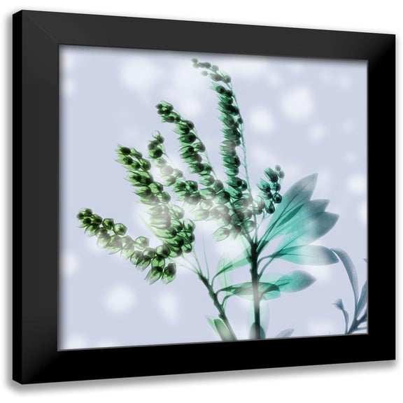 Koetsier, Albert 12x12 Black Modern Framed Museum Art Print Titled - Simply Misty