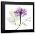 thumbnail image 1 of Koetsier, Albert 12x12 Black Modern Framed Museum Art Print Titled - Smile Always Purple, 1 of 5