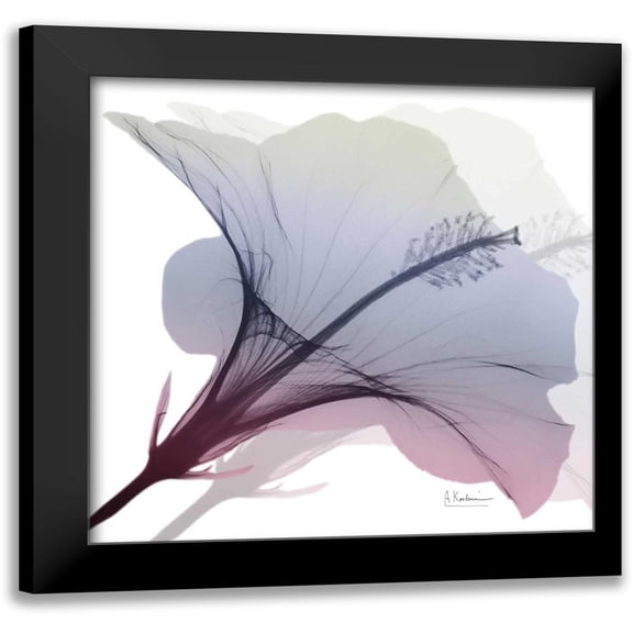 Koetsier, Albert 12x12 Black Modern Framed Museum Art Print Titled - Tasty Grape Hibiscus 2