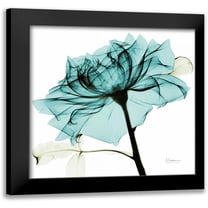 Koetsier, Albert 12x12 Black Modern Framed Museum Art Print Titled - Teal Rose 2