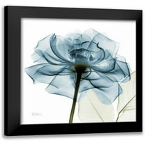 Koetsier, Albert 12x12 Black Modern Framed Museum Art Print Titled - Teal Rose